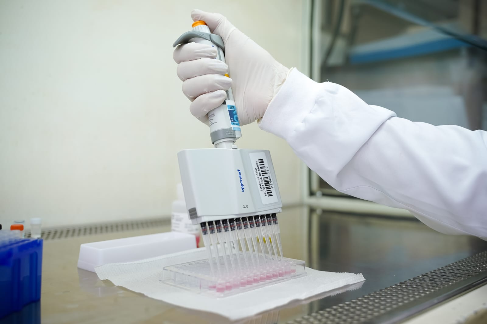 No momento, você está visualizando Governo de Goiás alerta para vigilância contra monkeypox