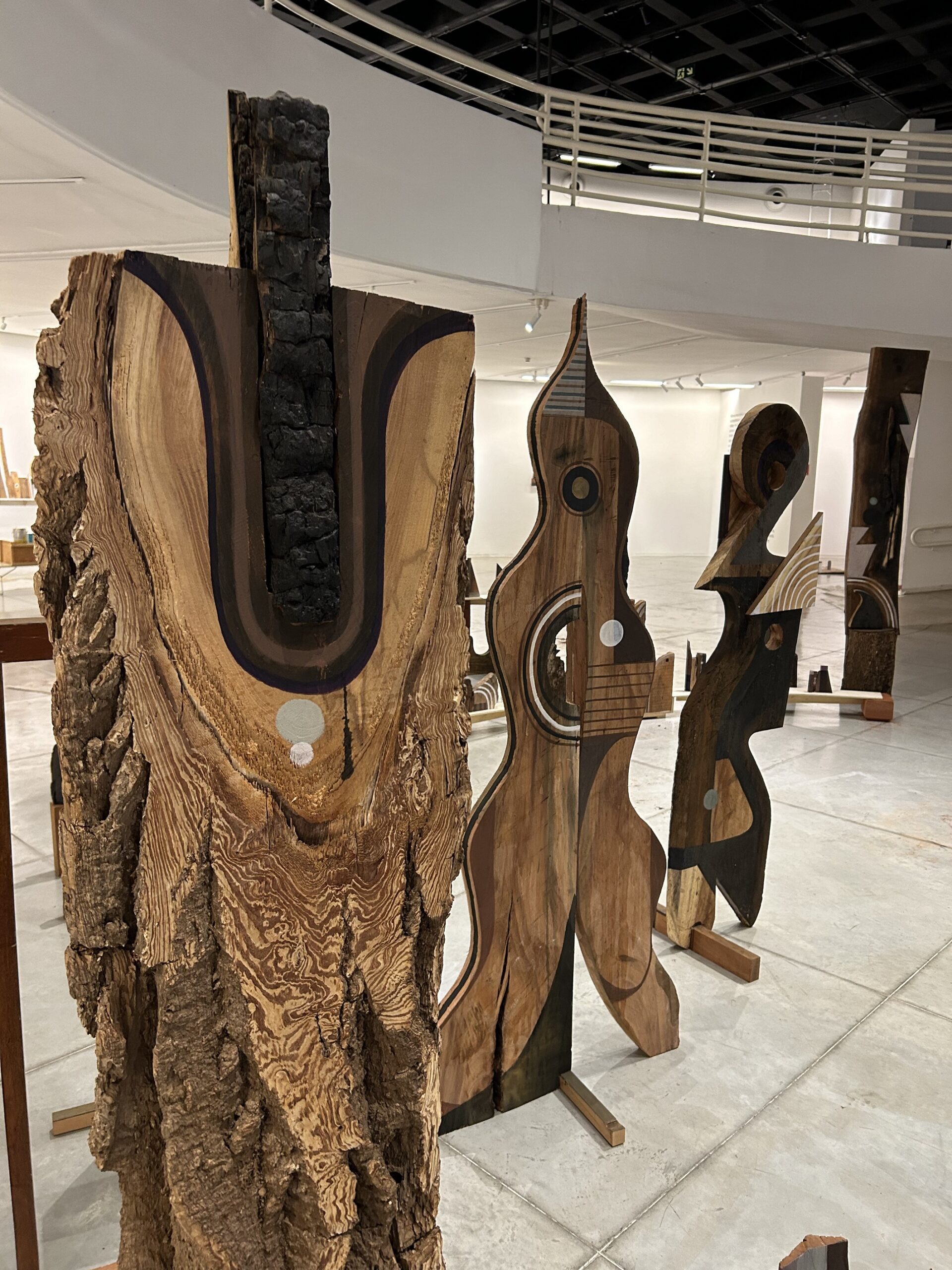 No momento, você está visualizando MAC Goiás recebe exposição inédita de Kboco com 135 obras a partir desta quinta-feira (12)