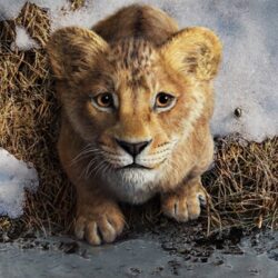 Mufasa, O Rei Leão estreia no cinema do Aparecida Shopping