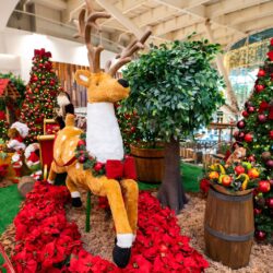 Diversão e gostosuras marcam o Natal do Passeio das Águas Shopping