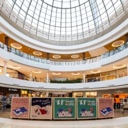 Amigos do Livro é atração no Flamboyant Shopping