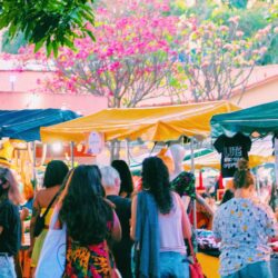 Festival das Minas: o maior evento cultural de mulheres do Centro-Oeste retorna em março