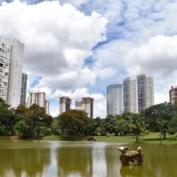 Goiânia é a sexta capital com o metro quadrado mais barato para aluguel no Brasil