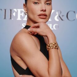 Evento Tiffany & Co: 6 looks que se destacaram na noite