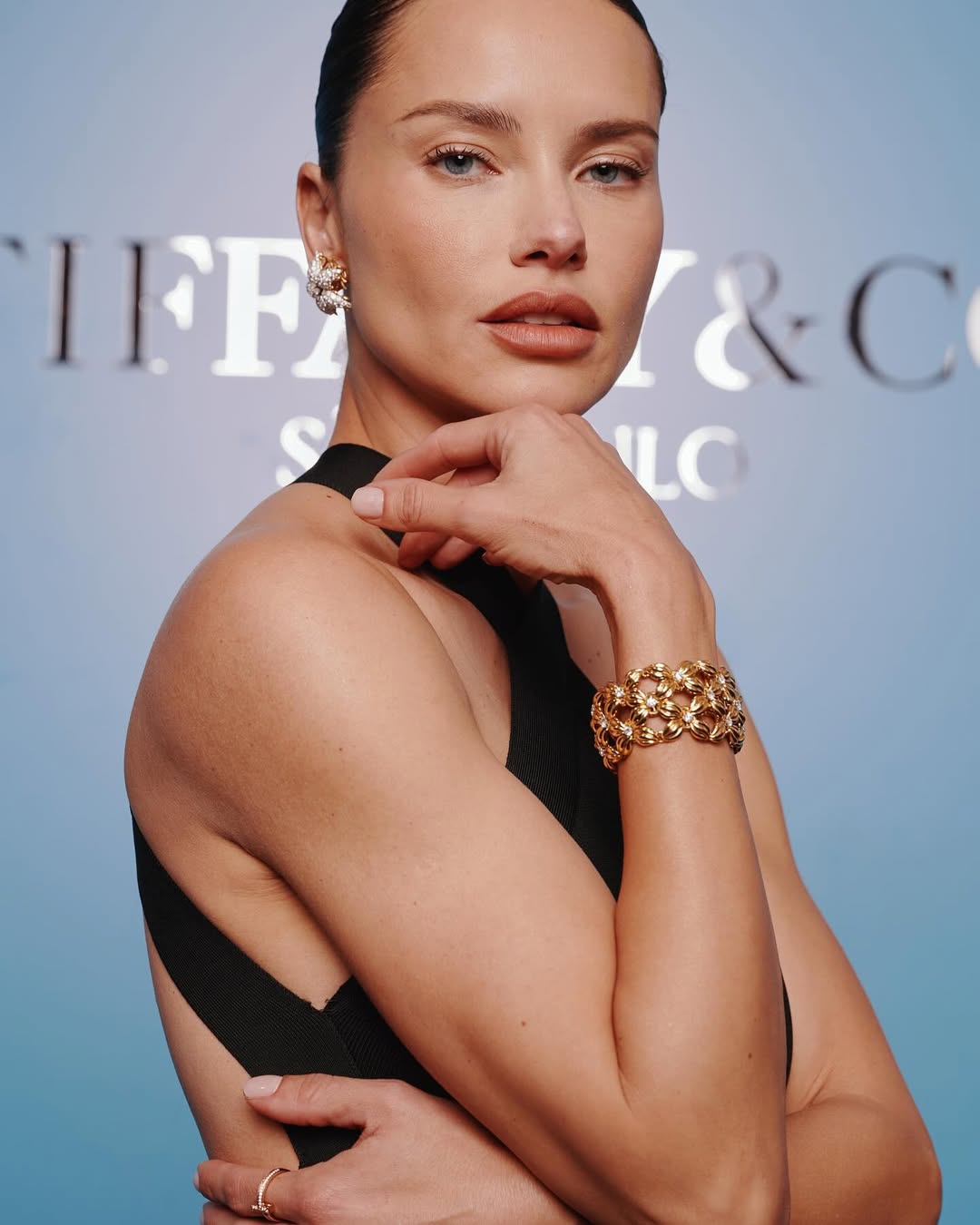 No momento, você está visualizando Evento Tiffany & Co: 6 looks que se destacaram na noite