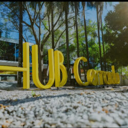 HUB Cerrado promove evento voltado para mulheres e inovação
