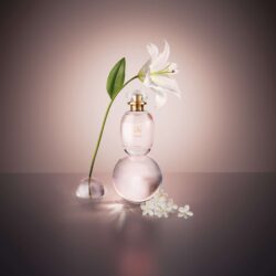O Boticário expande portfólio com L’eau de Lily Blanche