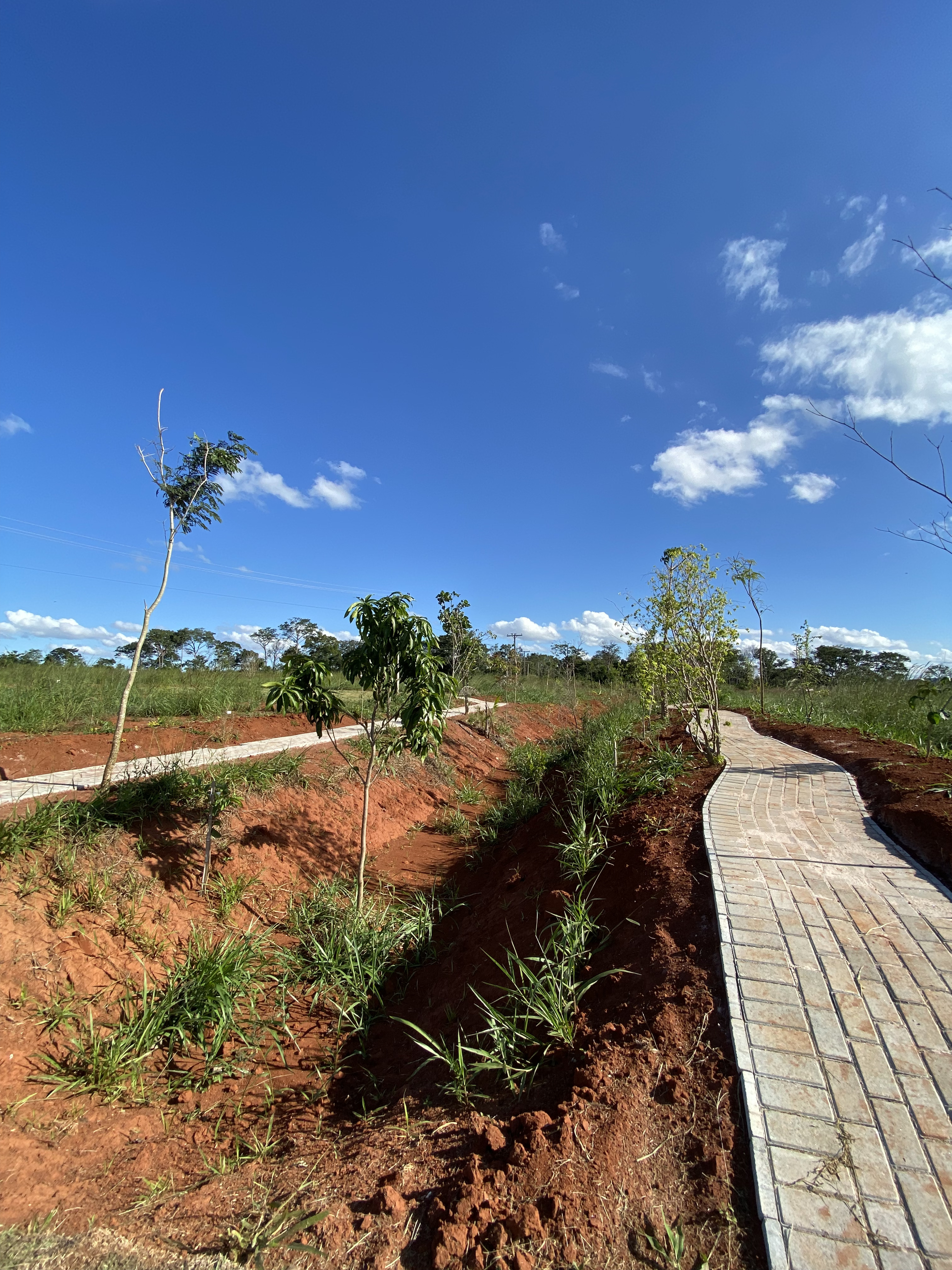 Conexão com a natureza: diferencial na escolha da moradia