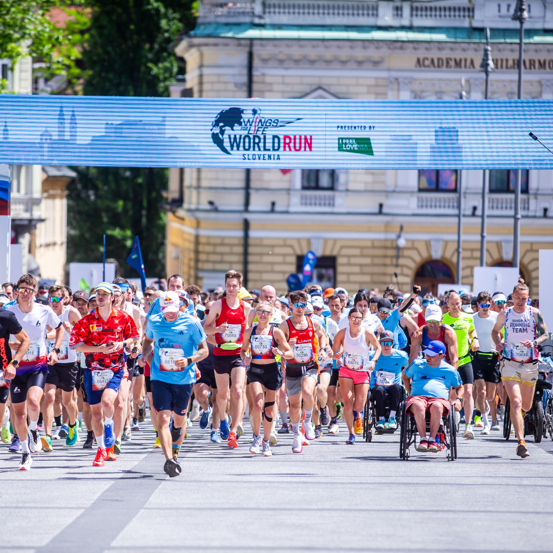 No momento, você está visualizando Wings for Life World Run 2025 reúne 310 mil em todo o mundo