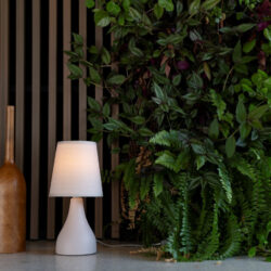 Décor Natural com elementos rústicos da natureza