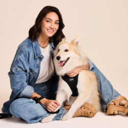 Dogme estreia com nova proposta para o universo pet