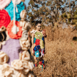 Senac Goiás inaugura exposição Caelestis na Casa Cor 2025