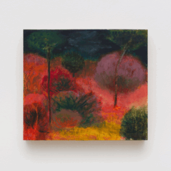 Exposições na Cerrado Galeria Dialogam Fé, Paisagem e Arte