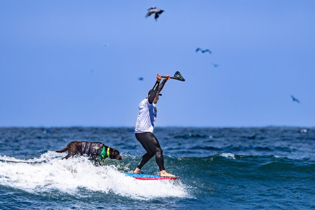 Família Surf Dog vai à Califórnia defender título mundial