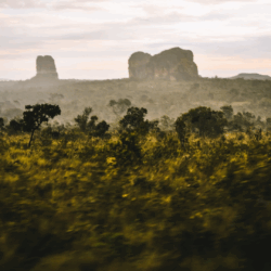 Korubo tem pacotes de férias para Jalapão e Serras Gerais
