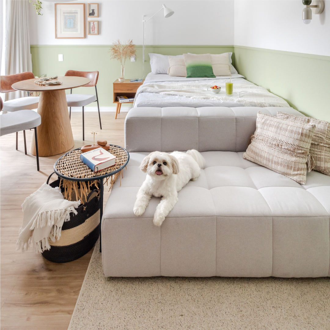 No momento, você está visualizando Arquitetura pet friendly pensa no bem-estar de todos