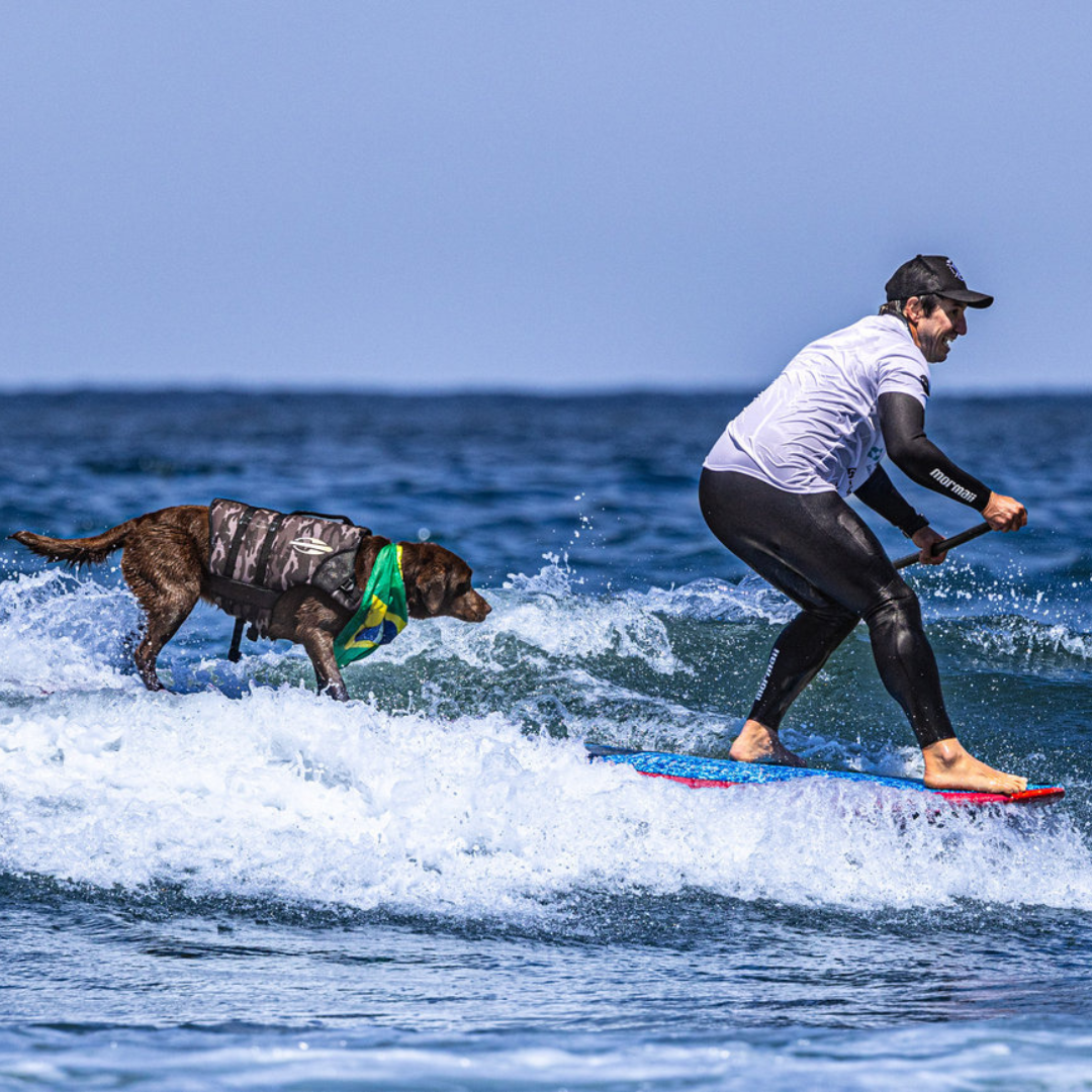 No momento, você está visualizando Família Surf Dog vai à Califórnia defender título mundial