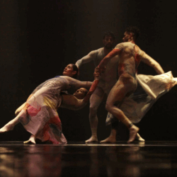 Carlota – Focus Dança Piazzolla