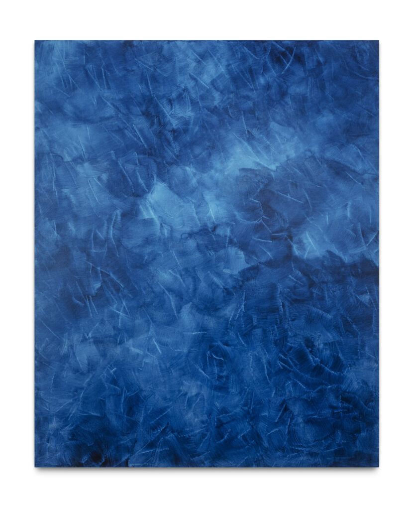 Vernissage ‘Mono’ de Cynthia Pimentel estreia em Goiânia