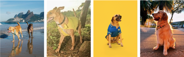 ASICS anuncia os embaixadores caninos "Mind's Best Friend"