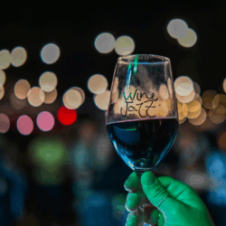 Goiânia recebe 1ª edição do Wine Jazz