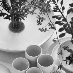 Ticiane Lima assina vitrine na 7ª Mostra D&D Garden