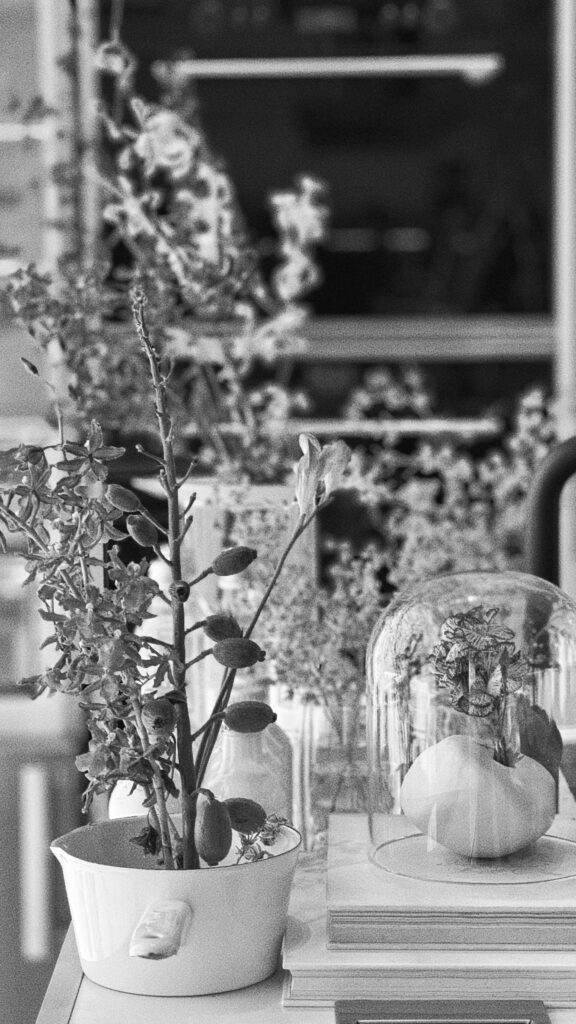 Ticiane Lima assina vitrine na 7ª Mostra D&D Garden