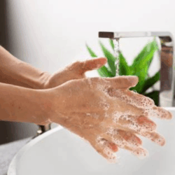 Heloina Claret reforça importância da lavagem correta das mãos