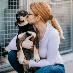 PEDIGREE® promove AdoCÃO especial no Parque Villa-Lobos