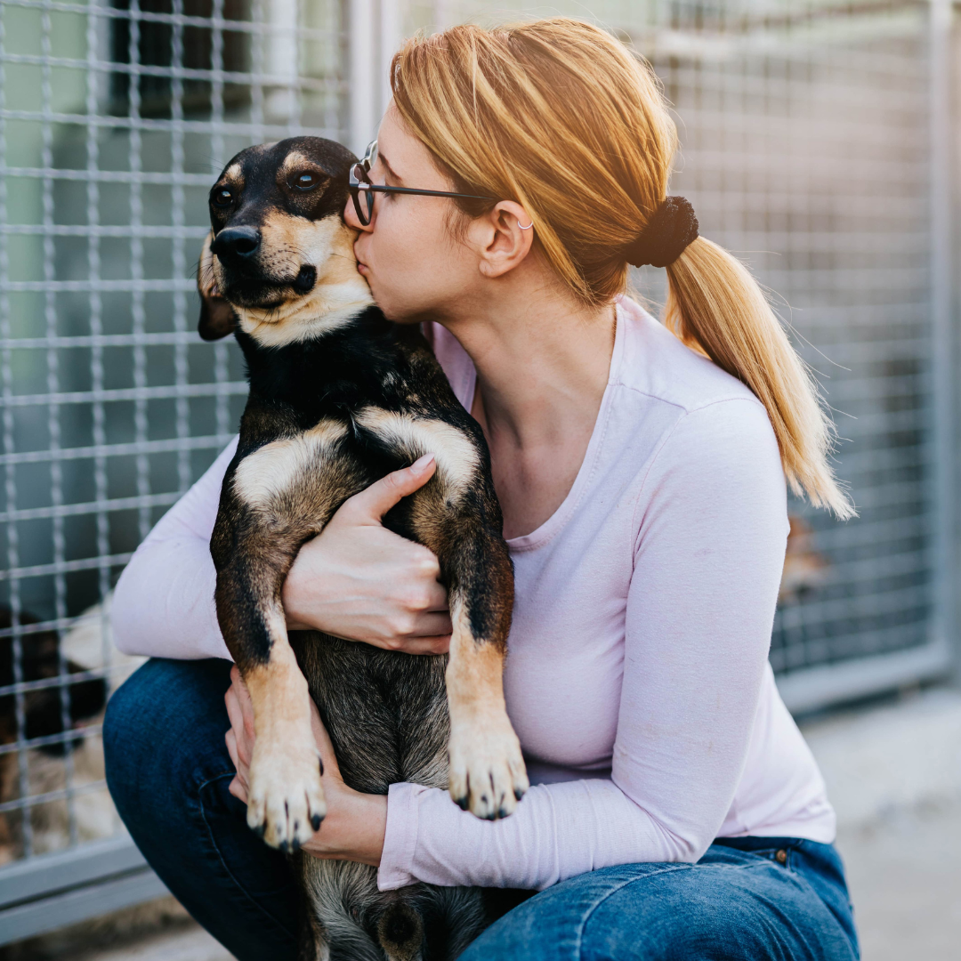 No momento, você está visualizando PEDIGREE® promove AdoCÃO especial no Parque Villa-Lobos