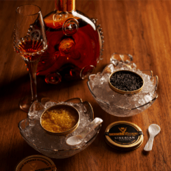 Simone é nomeado Embaixada Oficial de Louis XIII em São Paulo