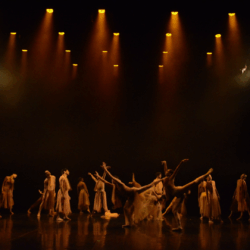 Basileu França apresenta espetáculo gratuito de dança