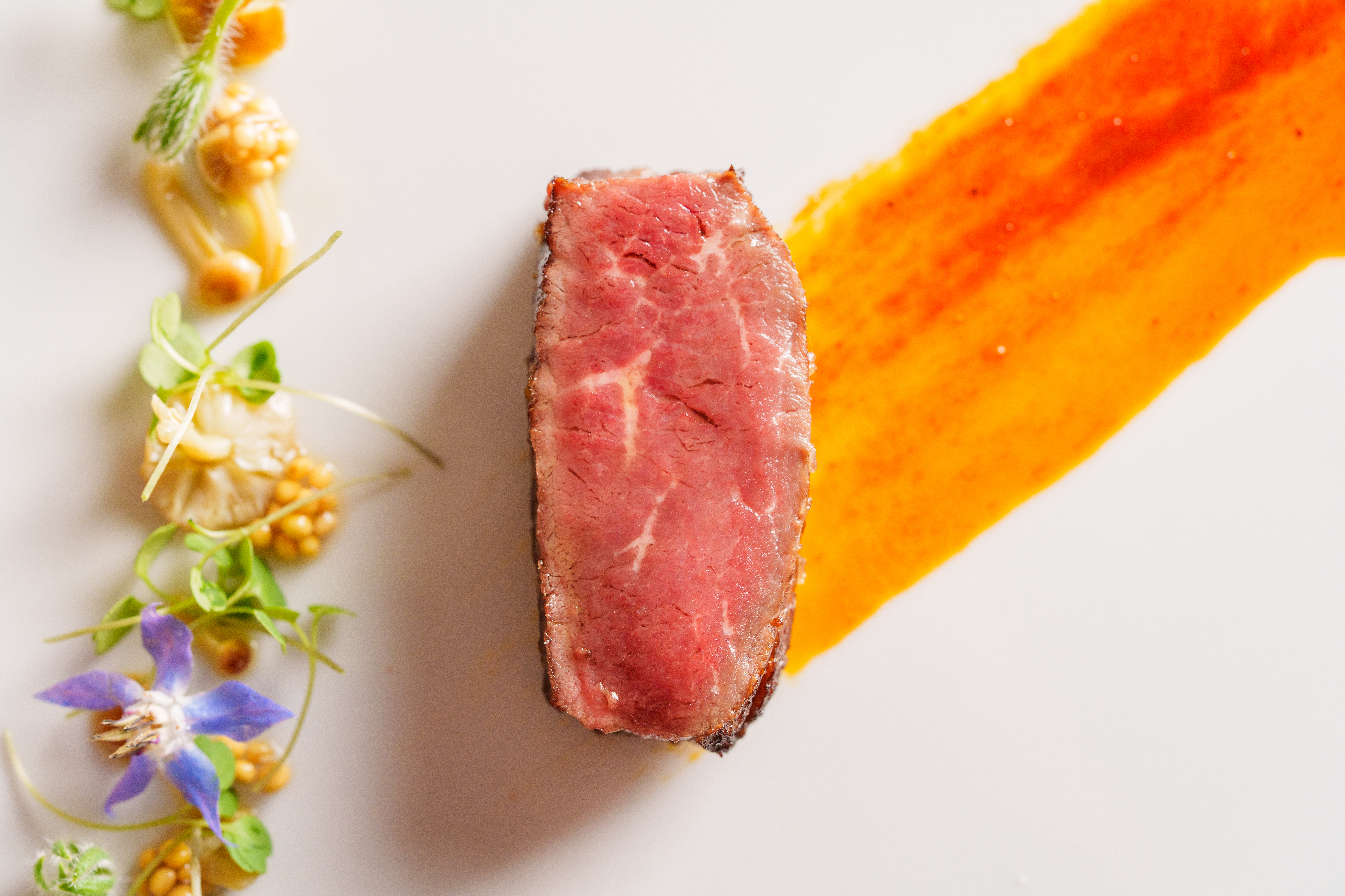 Simone é nomeado Embaixada Oficial de Louis XIII em São Paulo