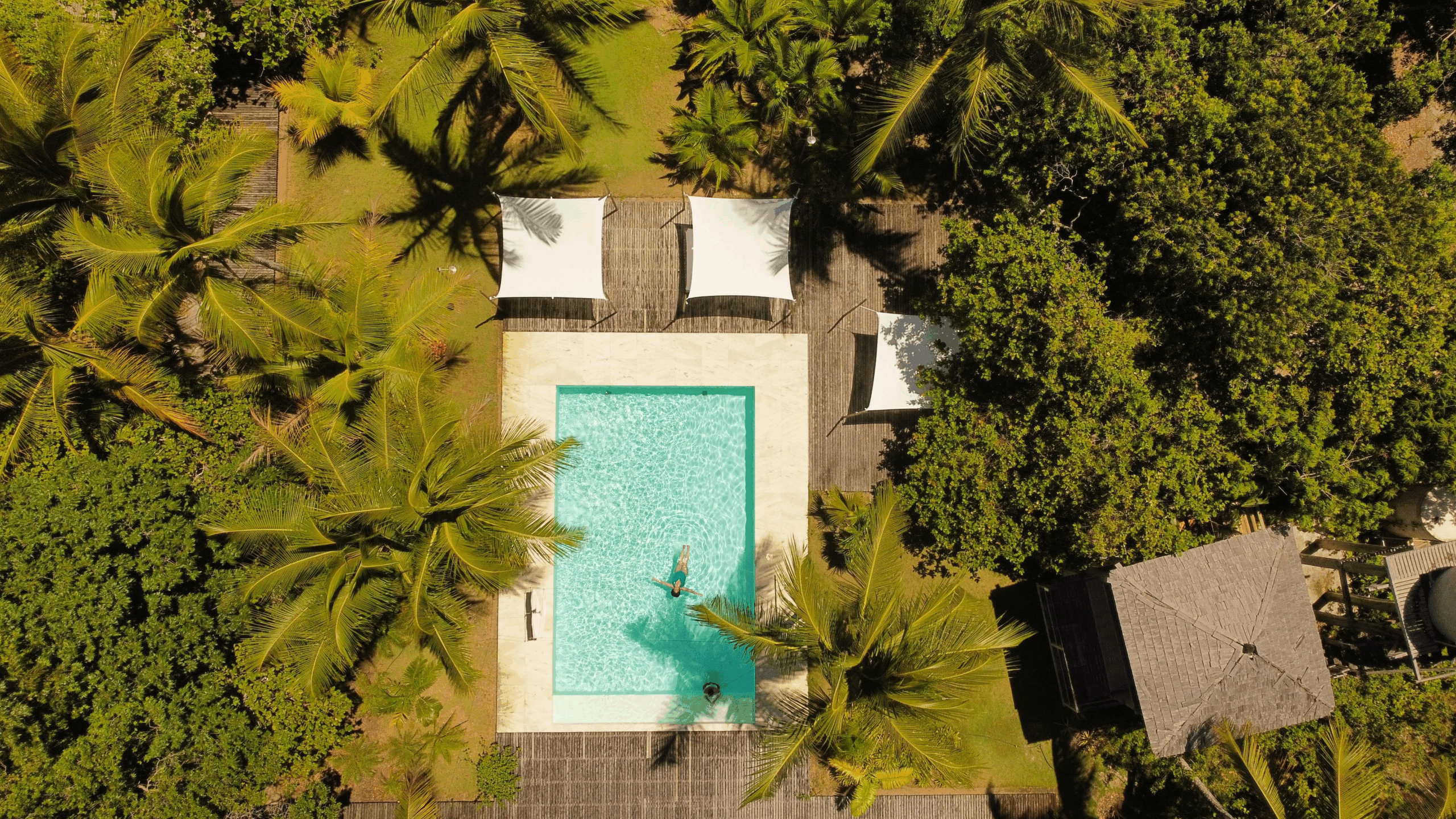 No momento, você está visualizando Natal na Natureza, no Hotel Vila Naiá