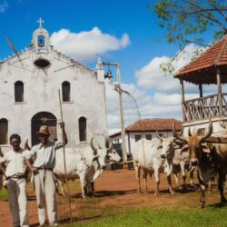 20ª edição do Festival Italiano de Nova Veneza já tem data definida