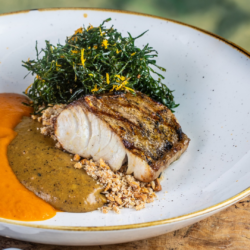 Hotel Fairmont Rio sedia formatura da 2ª turma do projeto “FormAção de Jovens para a Pesca”