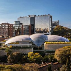 Einstein promove evento com lideranças globais para discutir o futuro da pesquisa científica na América Latina e no mundo