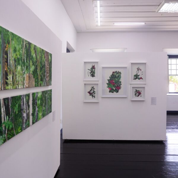 Governo de Goiás lança edital de artes visuais para o Fica 2026