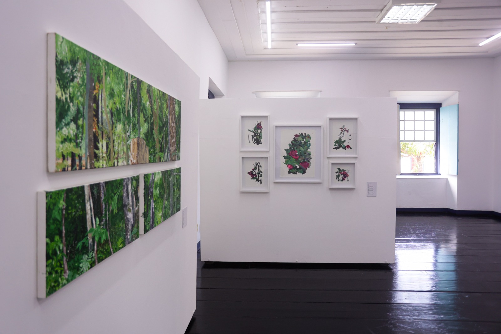 No momento, você está visualizando Governo de Goiás lança edital de artes visuais para o Fica 2026