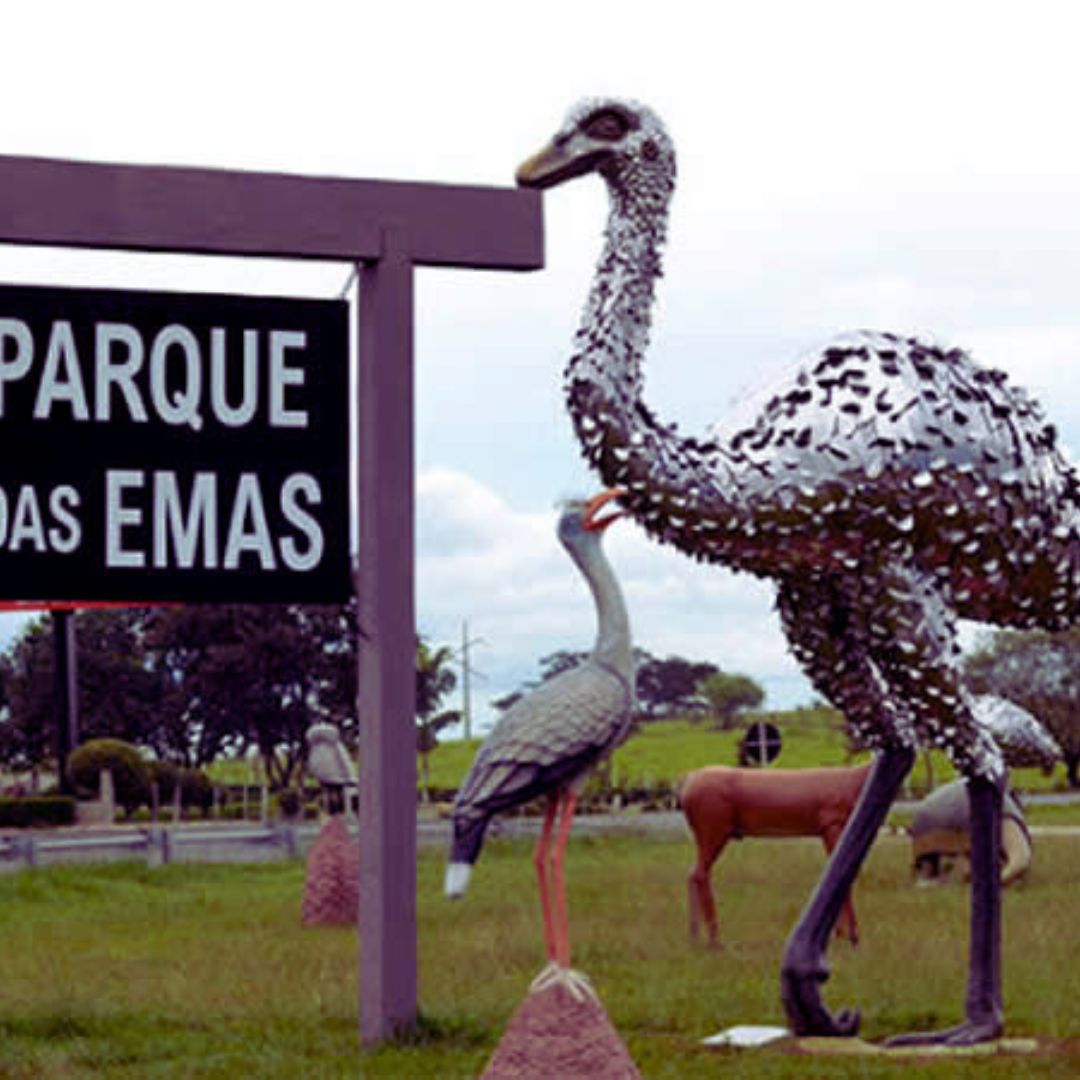 No momento, você está visualizando Parque Nacional das Emas já oferece acesso gratuito à internet