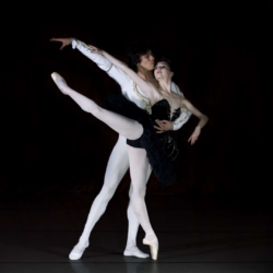 Reconhecido mundialmente, Moscow City Ballet apresenta o clássico “O Lago dos Cisnes” em Goiânia