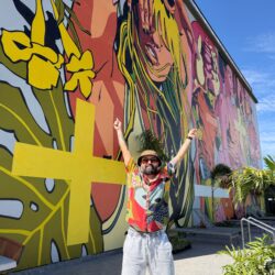 Arte nas alturas: Bicicleta Sem Freio assina mural a mais de 100 metros do chão em Goiânia