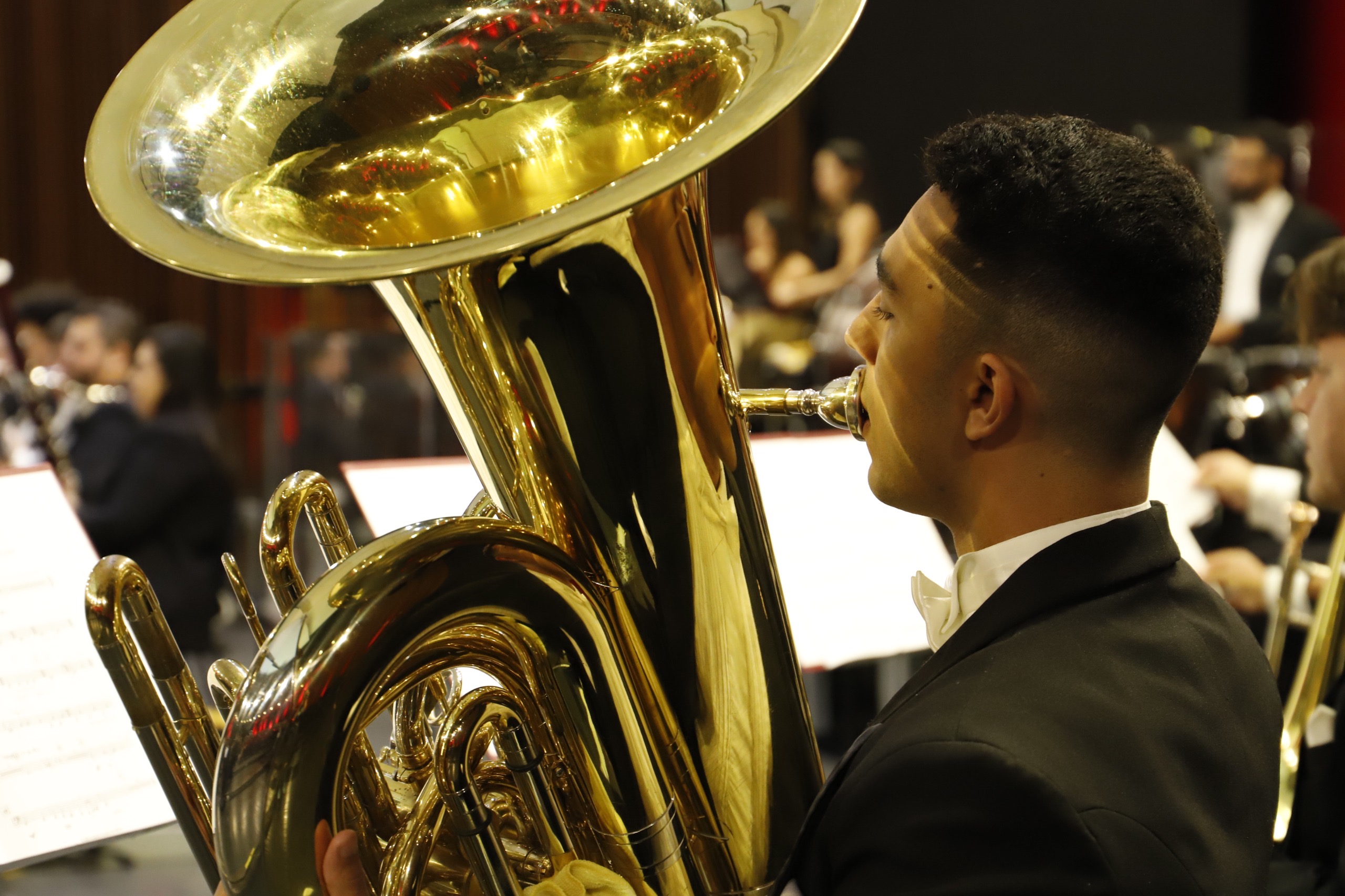 No momento, você está visualizando Orquestra Filarmônica de Goiás apresenta segundo concerto de câmara de 2026 com entrada gratuita em Goiânia